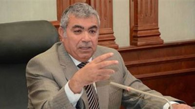 محافظ الإسكندرية يجتمع بنائب رئيس بنك الطعام