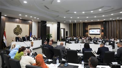 محافظ أسوان يفتتح ورشة العمل 
