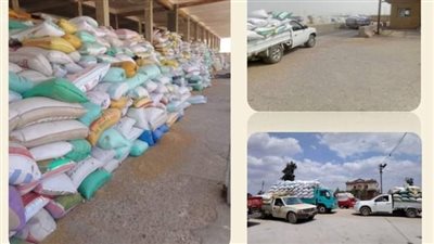 إرتفاع كمية الأقماح الموردة لشون وصوامع الشرقية لـ618 ألف طن