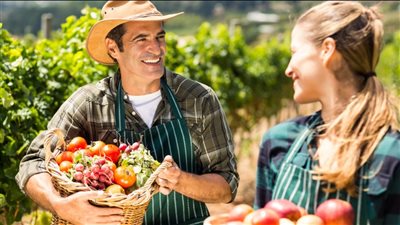 تسبب مرضًا قاتلًا.. تحذير من مخاطر كارثية لرش الفواكه والخضراوات بالمبيدات الحشرية 