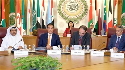 مدير حقوق الإنسان بالجامعة العربية يؤكد الجهد العربي المشترك لم يتوقف وفلسطين بند دائم