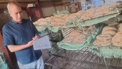 تحرير 120 محضر ضد أصحاب المخابز والمحال التجارية المخالفين بالشرقية 