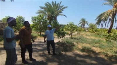  قافلة زراعية تنموية لوديان جنوب سيناء