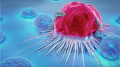 علماء يكتشفون بكتيريا في الفم تذيب بعض أنواع السرطان