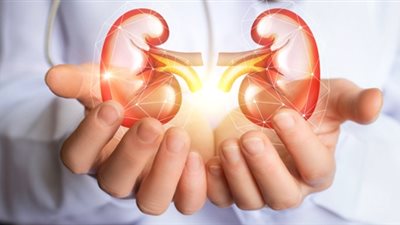 تجنبها.. أطعمة تحفز تكون الحصوات في الكلى