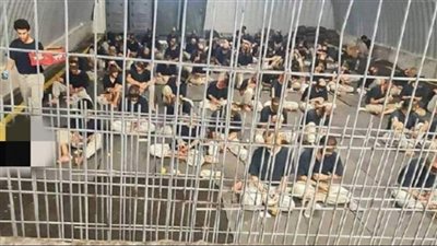 مقتل 36 أسيراً من غزة في سجن سديه تيمان بصحراء النقب