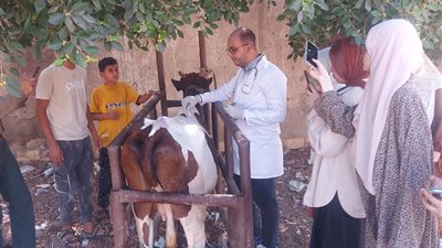 قافلة جامعة قناة السويس تقدم الرعاية الطبية لأكثر من 900 حالة 