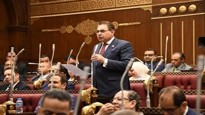 فرج فتحي: العلاقات المصرية الإماراتية تاريخية.. ويؤكد: يلعبان دورًا مهمًا في نبذ العنف 