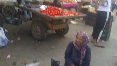 المواقف العشوائية  والإشغالات تغلق شوارع سندوب بالدقهلية