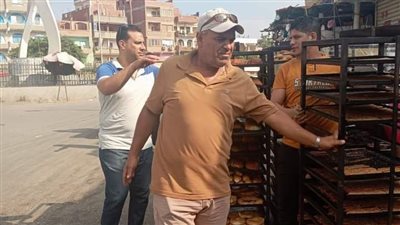 رفع الإشغالات والإعلانات المخالفة بمراكز ومدن الشرقية 