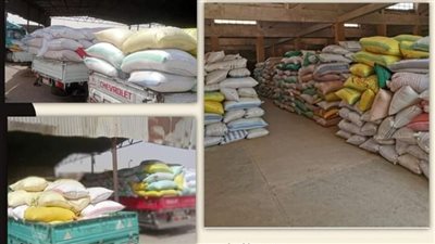 شون صوامع الشرقية تواصل استلام القمح المحلي