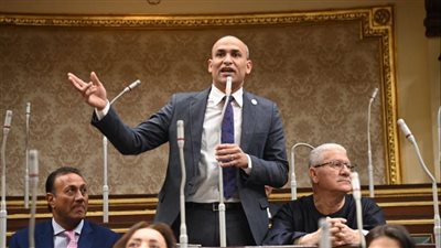 برلماني: التحالف الوطني يملك قواعد بيانات تضمن وصول الدعم للمواطنين بدقة