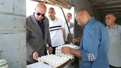 محافظ بني سويف يتفقد منظومة العمل بمشروعات الدواجن المركزية 