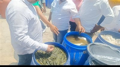 إعدام 25 طن مخللات به نقص في الاشتراطات الصحية بالصالحية