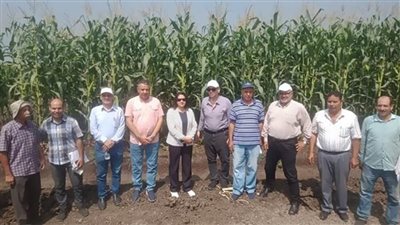البحوث الزراعية ينظم زيارة تفقدية  لبرامج المحاصيل الصيفية بالغربية