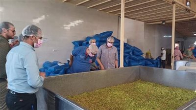 محافظ بني سويف يتابع إنشاء مركز متكامل لتصنيع النباتات الطبية والعطرية بسمسطا