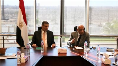 وزير الكهرباء: طرح مبادرة خلية شمسية لكل مزرعة دواجن 