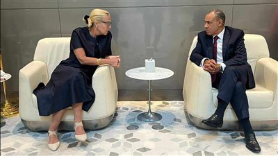 وزير الخارجية يشدد على دخول المساعدات إلى غزة دون قيود أو شروط