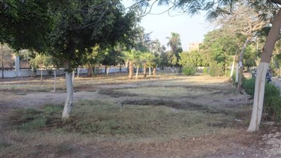  محافظ القليوبية يجري جولة بعدد من شوارع مدينة الخانكة