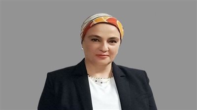 سؤال برلماني في النواب حول أسباب تصفية شركة ميتالكو