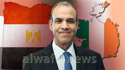 وزير الخارجية: نحرص على تعزيز التعاون مع أيرلندا في الطاقة والصادرات المصرية