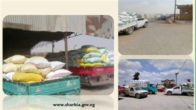 إنتظام سير العمل بمنظومة توريد القمح لشون وصوامع الشرقية