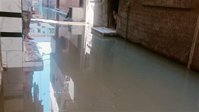 شوارع ومنازل ميت محسن بالدقهلية غارقة فى مياه الصرف الصحى