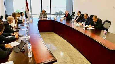 وزير الكهرباء: نعمل على تنويع مصادر توليد الطاقة والقطاع الخاص شريك رئيسي