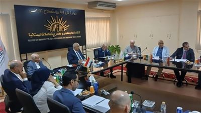 مجلس البطاطس يطلق استراتيجية لزيادة الصادرات وإنتاج تقاوي مصرية 