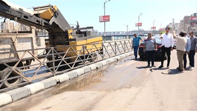 13 مكنسية لرفع 150 طن أتربة من شوارع المنصورة وطلخا  