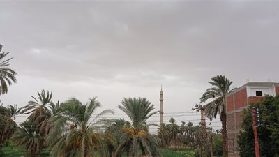 طقس الجمعة.. غيوم ورياح مثيرة للأتربة وأمطار خفيفة في الأقصر