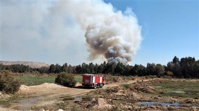 السيطرة على حريق إندلع في مزرعة دون إصابات بأخميم 