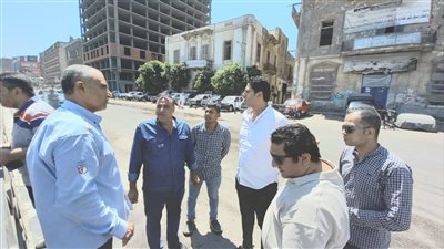 نائب محافظ الدقهلية: رفع 150 طن أتربة من شوارع المنصورة طلخا