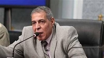 برلماني: الحكومة الجديدة تدعم القطاع الخاص لزيادة الإنتاج وتعميق التصنيع المحلي