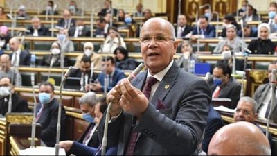 برلماني يطالب بتطبيق الأدنى للأجور على العاملين بالحكومة والقطاع الخاص