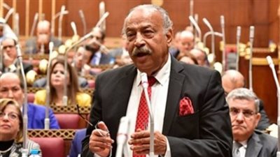 النائب هاني العسال: مدينة العلمين الجديدة نموذج محترف للاستثمار المتعدد 