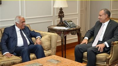 وزير الخارجية والهجرة يستقبل وفد غرفة التجارة الأمريكية بمصر
