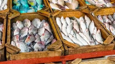  تراجع المرجان .. تذبذب في أسعار السمك بتعاملات اليوم بسوق العبور للجملة