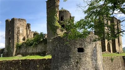 ثري فرنسي يعرض قلعة ضخمة للبيع مجانًا بشرط واحد