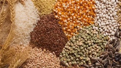 أطعمة لاغنى عنها لـ صحة الأمعاء