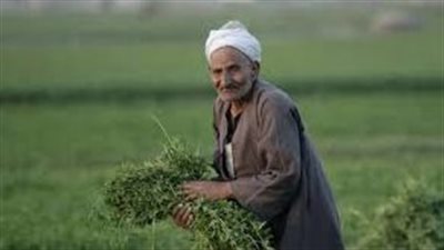 الاهتمام بالفلاح المصري.. ركيزة أساسية لتحقيق الأمن الغذائي
