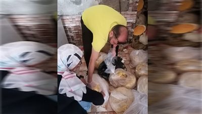 حملات للهيئة القومية لسلامة الغذاء التفتيشية على الأسواق بالمحافظات.. صور