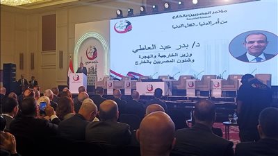 وزير الخارجية والهجرة: المصريون بالخارج جزء أصيل من الدولة المصرية