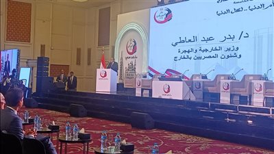 وزير الخارجية والهجرة يزف بشرى سارة لأبناء مصر بالخارج  