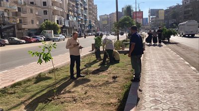   محافظ الدقهلية يتابع انطلاق أعمال زراعة الأشجار المثمرة