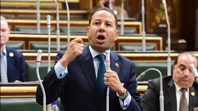 برلماني: تدشين منصة مصر الرقمية للصناعة بداية حقيقية لاستعادة مجد المنتج المحلي