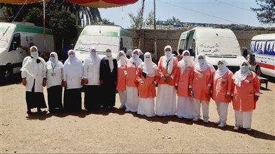 الكشف على 1448 مريضا ضمن قافلة طبية بالدقهلية