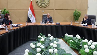 وزير الكهرباء: الاهتمام ببرامج الصيانة ورفع كفاءة الشبكات وخفض الفاقد الفنى والحد من تكرار الأعطال