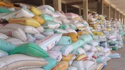  توريد 619122 طن قمح لصوامع وشون الشرقية منذ بداية موسم الحصاد