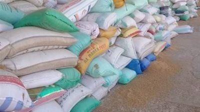 توريد 619 طن قمح محلي لصوامع وشون الشرقية